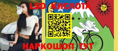 крисы Дубна