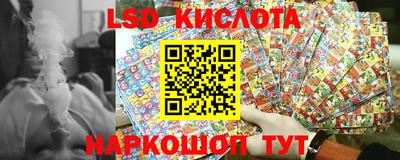 шишки Донской
