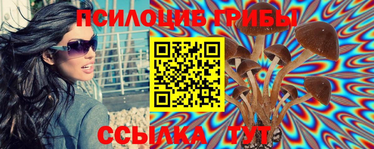 Бирск  Псилоцибиновые грибы мицелий  Вход с VPN 